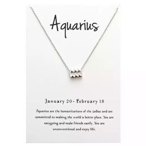 🆕Aquarius Zodiac Pendant Necklace